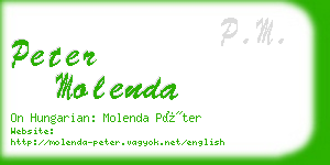 peter molenda business card